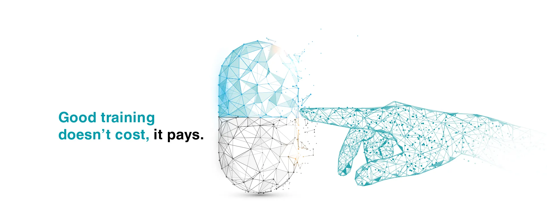 Good training doesn't cost, it pays – Vanguard Diagnostics Training